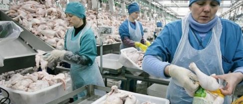 044adb5fb81d4b88c4476e39ff5e875b