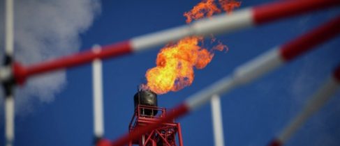 146fd8a62c93ac106e5e4d6e703dddd9