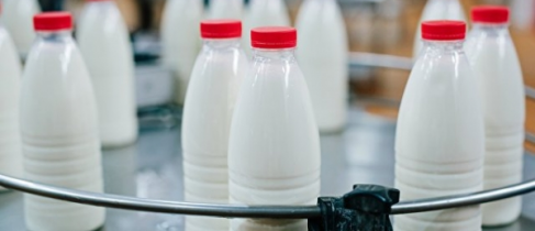 15ef24b53d53621617c6fe7dd43dff5f