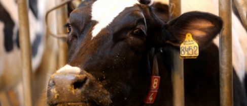 16f59ae77f49dc6a837bc571bcdede88