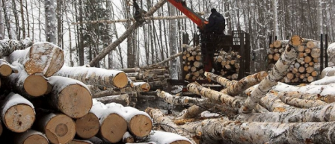 19b8cdc6d379036064b76d6071b3a2b9