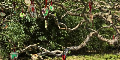 249e6757-9e06-4bbe-b0f4-0644a07aee33