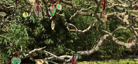 249e6757-9e06-4bbe-b0f4-0644a07aee33