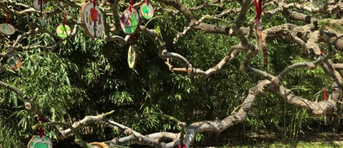 249e6757-9e06-4bbe-b0f4-0644a07aee33