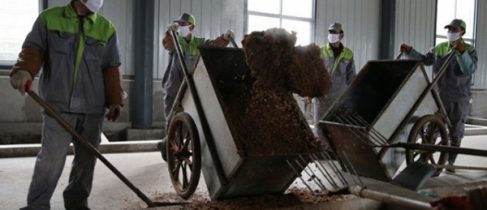 2d8b34bce7c4c5635f71552b0cd57048