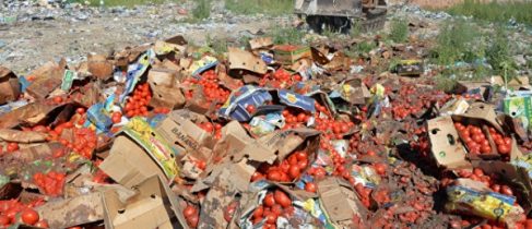 44647b457d024c0d21c7a249c69c0519