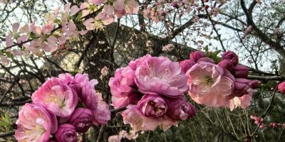 4faad1d4-b7b5-4c6f-b150-41c977c9e97d