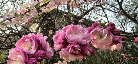 4faad1d4-b7b5-4c6f-b150-41c977c9e97d