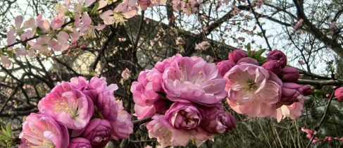 4faad1d4-b7b5-4c6f-b150-41c977c9e97d