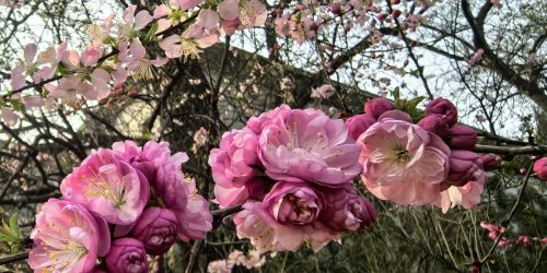 4faad1d4-b7b5-4c6f-b150-41c977c9e97d