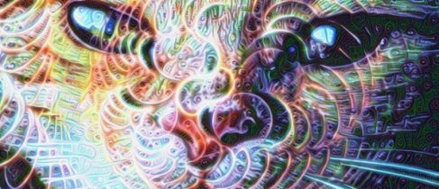 50f60ecd2da8d8332087ffa4c8c2ab6d