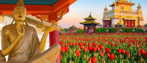 6efe99b6-b6c3-4c80-b8e3-86dc38f9f3d0