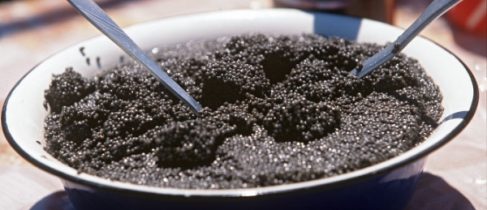 7662fe5a6c5a07c994fccdda39701b70