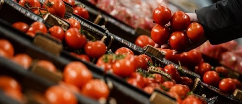 9305244989885f6f4569d97121c17c23