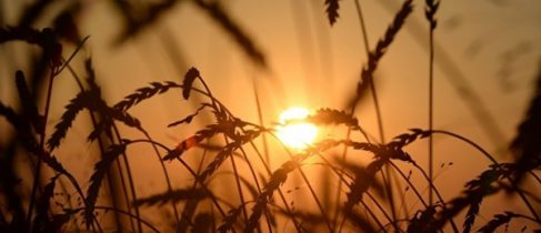 94b70cfa5d067cf63c42aee3e83cc887