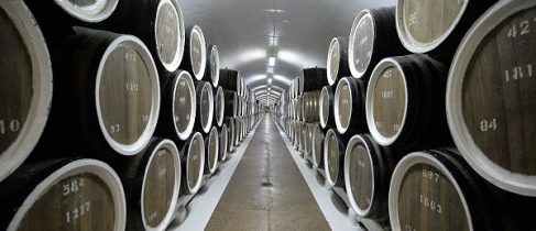 96d94ac5daa5d7b4462672a6f3870558