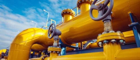 a5cca1b1-5297-4633-8042-e9d556d4d3ba