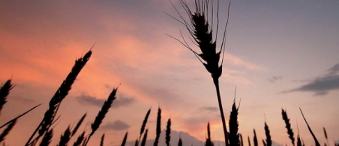 ac3cf20e885e7ce70ee29d16acce2d1a