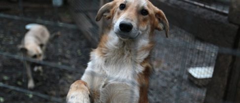 c44dd143d43d7da02cf76346da93aa63