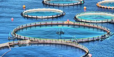 cd1bf77c-bf2b-467c-9e4c-293124a2c6f7