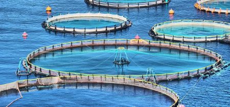 cd1bf77c-bf2b-467c-9e4c-293124a2c6f7