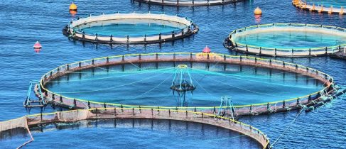 cd1bf77c-bf2b-467c-9e4c-293124a2c6f7