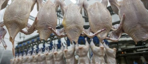 dc95656e369c9eb76075f83cdba550df