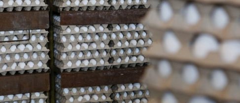 dff112fca1e0a9e82a9bfbe537d0f01b