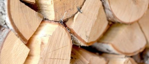 f77e80ec-d61b-4629-ac84-7b8ea49bef02 (1)