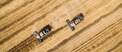 fca71c92d55732d17aeae55b365ea9b6