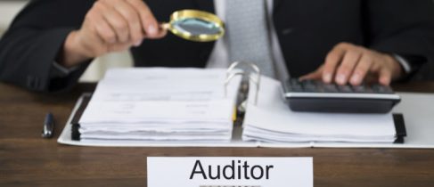 Auditor Scrutinizing Financial Documents In Office