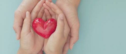 hands holding red heart, health care, love, organ donation, mindfulness, wellbeing, family insurance and CSR concept, world heart day, world health day, National Organ Donor Day