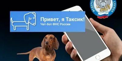 картинка_чат-бот