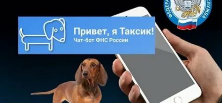 картинка_чат-бот