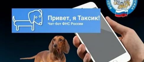 картинка_чат-бот