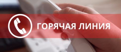 горячая линия